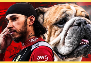 Lewis Hamilton calls for fan support in heartfelt Roscoe message