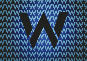 Williams stars CRASH in dramatic incident