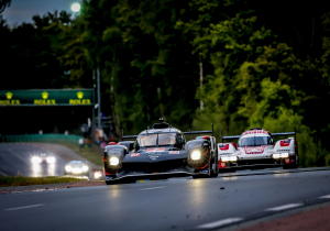 Le Mans 24 Hours interrupted by stray ANIMAL