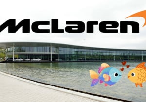 F1 team hit by carp chaos as horny fish 'breed like buggery'