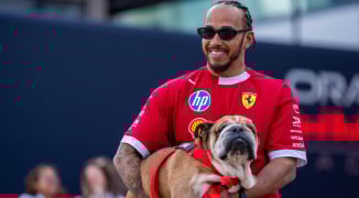 Lewis Hamilton shares heartbreaking pictures in Roscoe health update