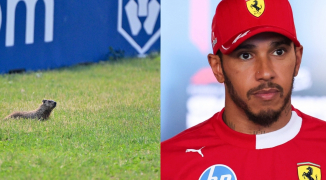 Hamilton kapot van groundhog-botsing: 'nachtmerrie' zorgt voor flinke schade Ferrari