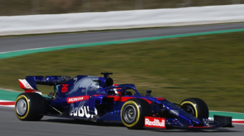 Toro Rosso