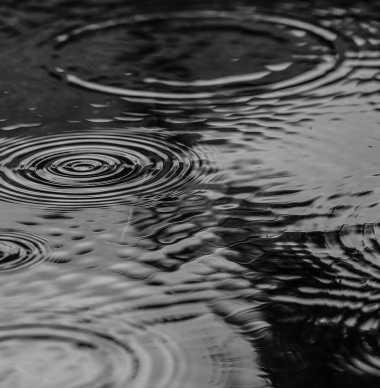 Het effect van regen op een Formule 1 wedstrijd