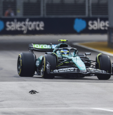 LIVE (gesloten) | Eerste vrije training GP Singapore: Alonso pakt P1 af van Leclerc, Piastri raakt de muur