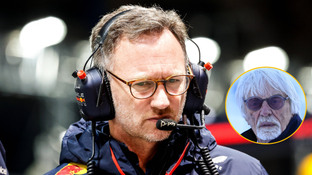 Ecclestone, Horner, social