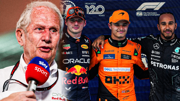 Marko, Norris, Verstappen, Hamilton, socials