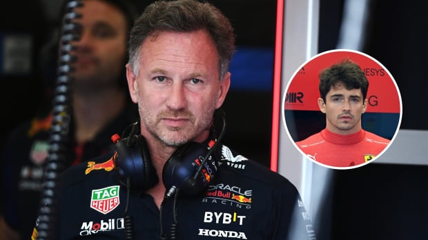 Christian Horner looks glum whilst Charles Leclerc looks on in disbelief