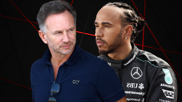 Christian Horner and Lewis Hamilton