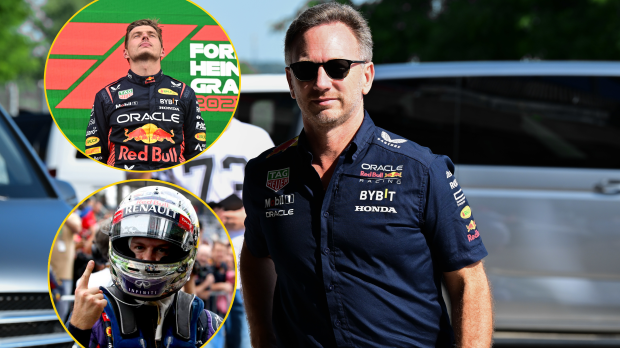 Vettel, horner, verstappen