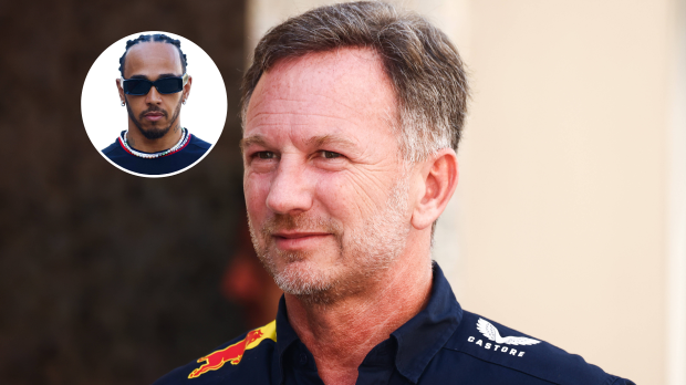 Lewis Hamilton and Christian Horner