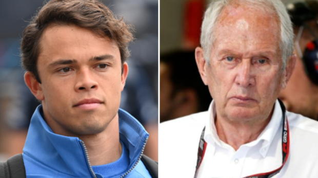 Nyck de Vries and Helmut Marko