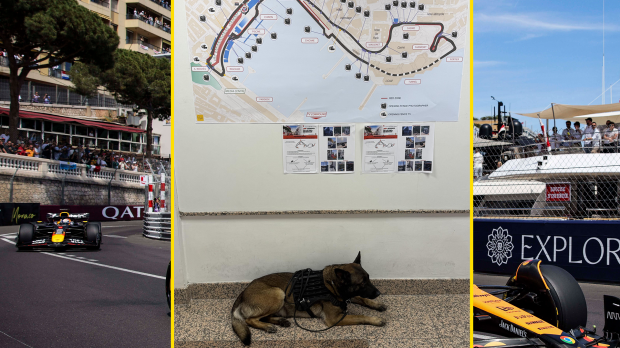 Explosievenhond, Monaco, socials — Foto: © Imago X @ jameypricephoto (Reddit)