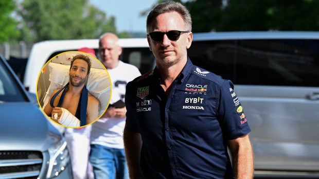 Horner, Ricciardo