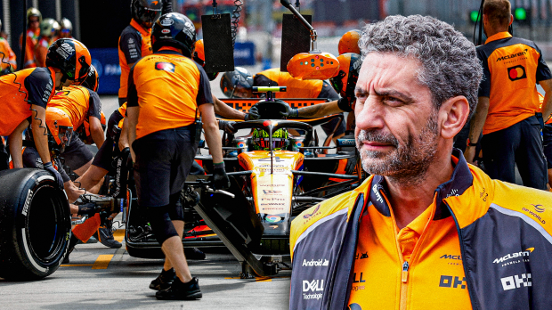 Stella, pitstop, socials