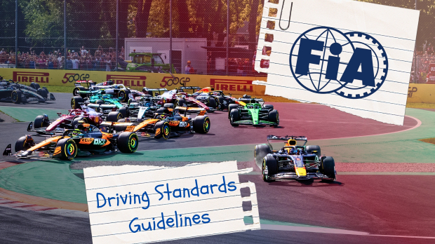 Driving Standards Guidelines of FIA