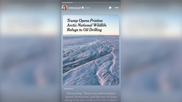 Kelly Piquet took to Instagram to complain over Donald Trump's plan