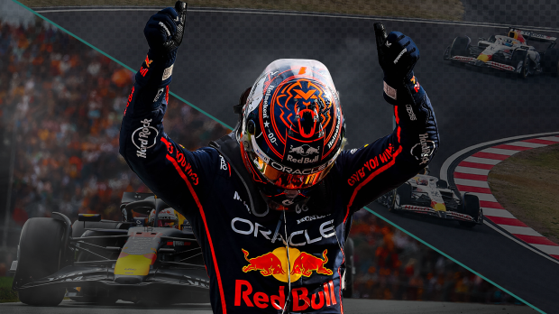 verstappen, thumb, social 