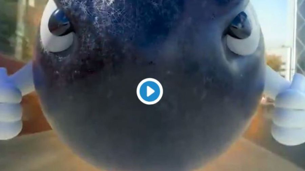 Photo: © LAT Images