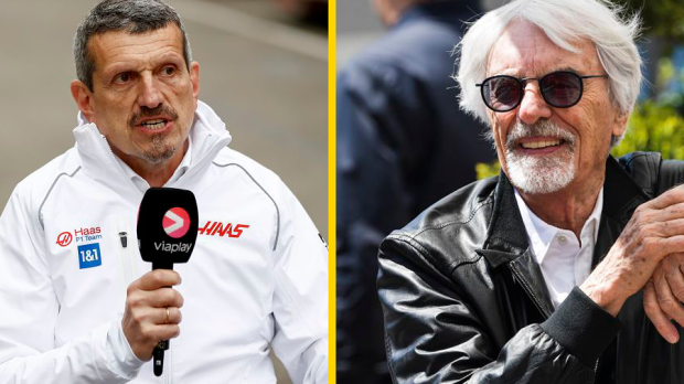 Ecclestone, Steiner