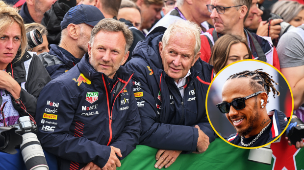 Horner, Hamilton