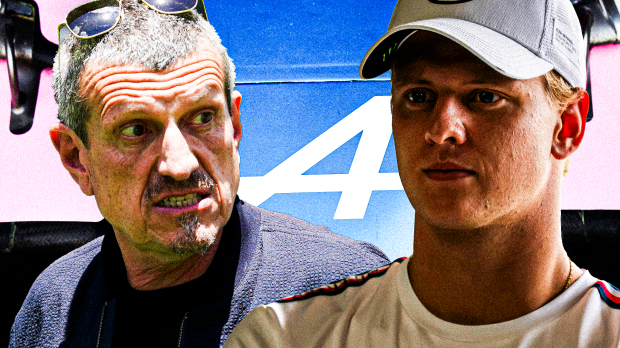 Steiner, Schumacher, social