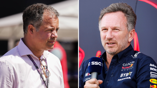 Ted Kravitz and Christian Horner