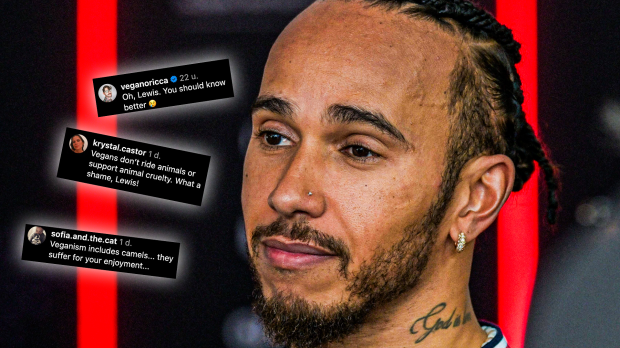 Hamilton, socials