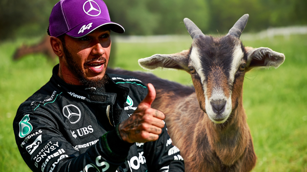 Lewis Hamilton, GOAT, Social, Photoshop