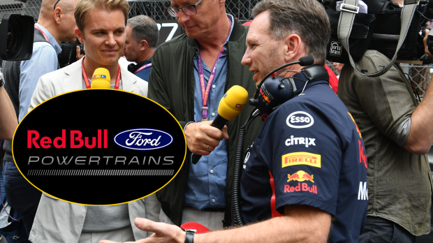 Horner, Red Bull Ford