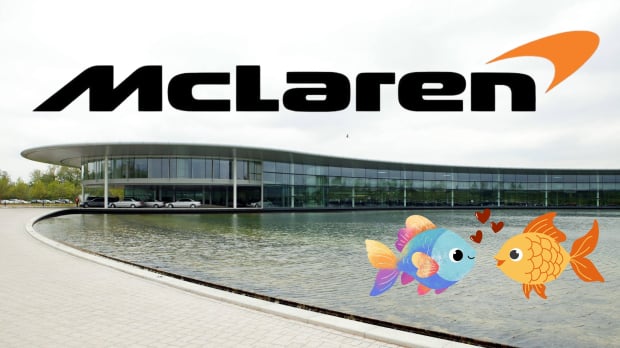 Two randy carp kiss in the pond outside the MTC in Woking — Photo: © IMAGO