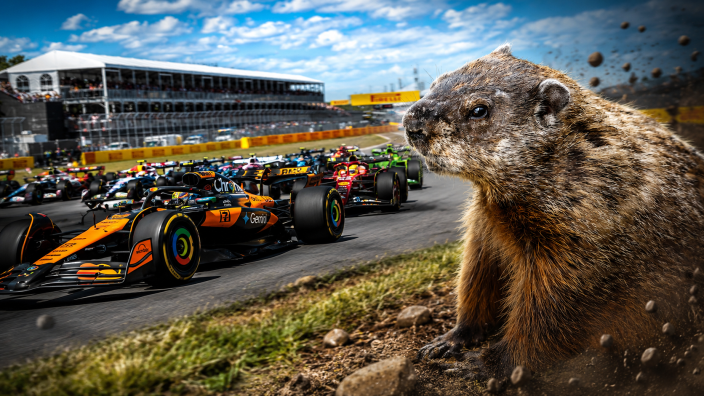 Why are there so many groundhogs at the Canadian Grand Prix?