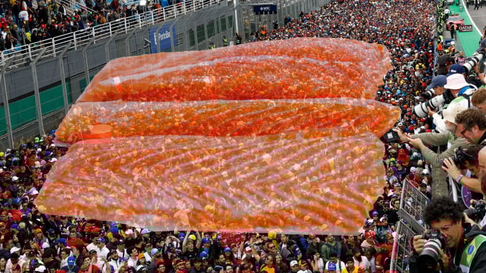 F1 pundit claims fans have 'backbone of a dead salmon'