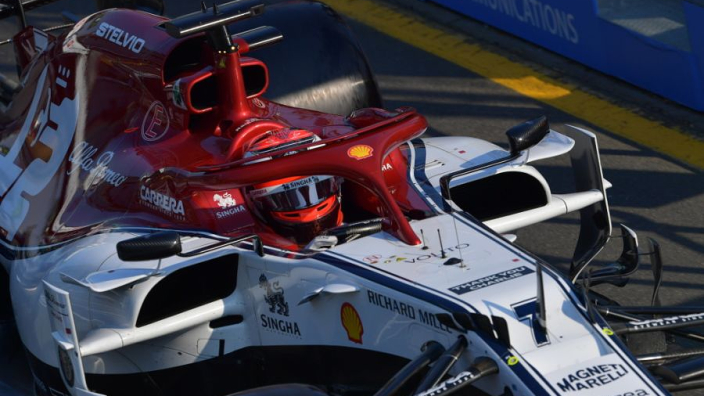 richard hamilton f1