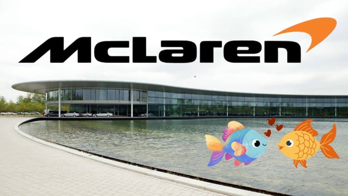 F1 team hit by carp chaos as horny fish 'breed like buggery'