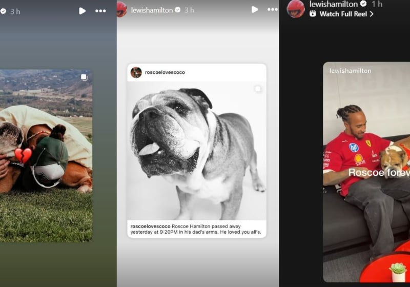 Il video emozionante di Hamilton sulla morte di Roscoe