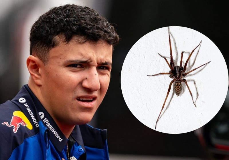 F1 stars freak out over spider prank