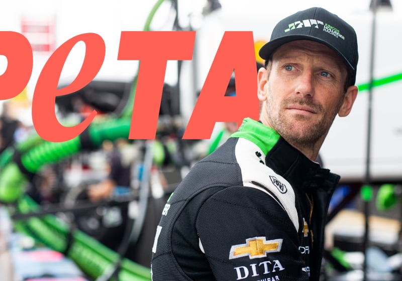 F1 star roasted by PETA after killing animal in 230mph collision