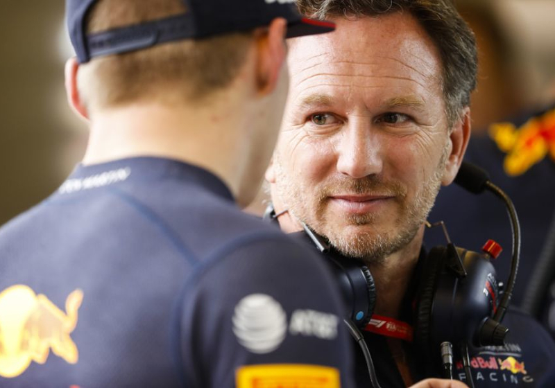 Hamilton and Vettel don't fit Red Bull philosophy says Horner