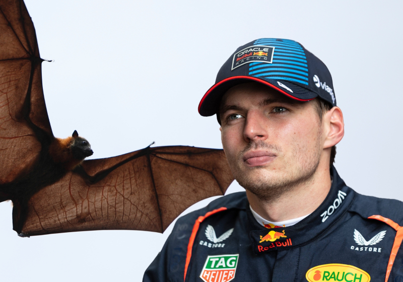 Verstappen makes bizarre bat claim