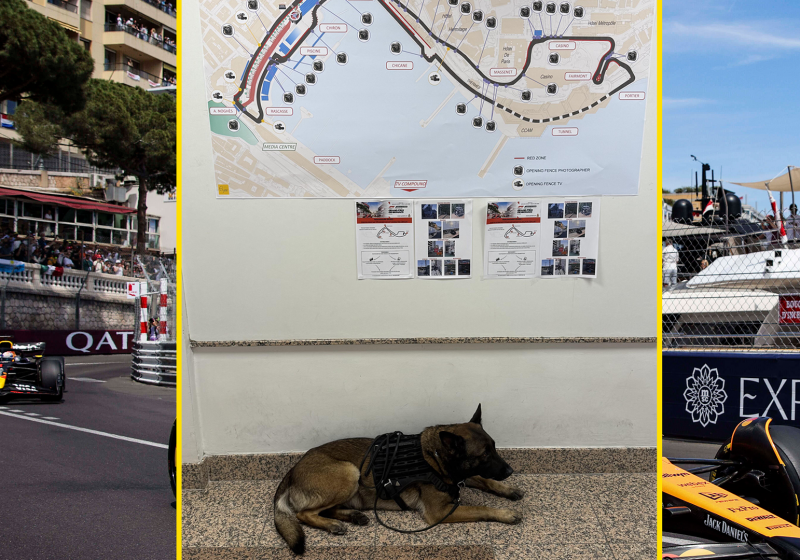Organisatie in Monaco schakelt explosievenhond in tijdens Grand Prix-weekend