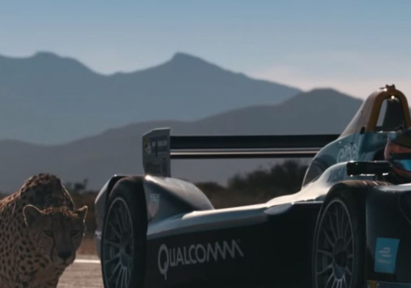 VIDEO: Formula E versus cheetah