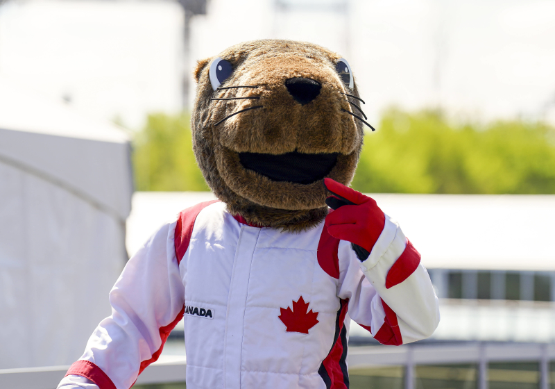 Gasly volgt Albon op en rijdt ook bosmarmot aan in Canada