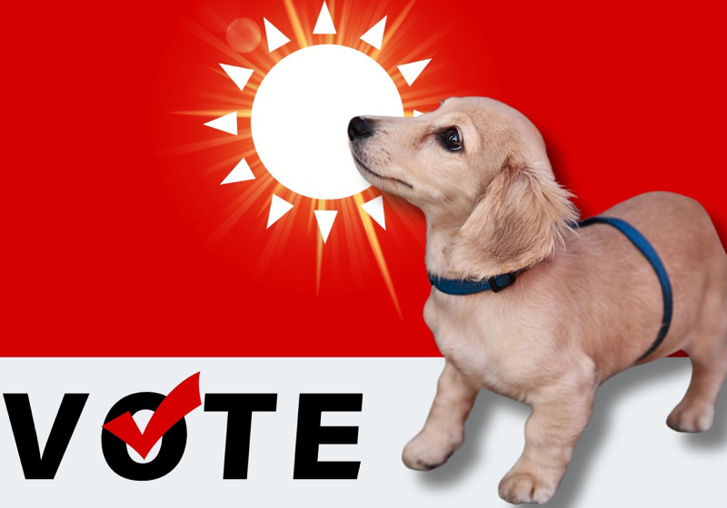 Why Leo Leclerc is the cutest dog in the F1 paddock - bar none