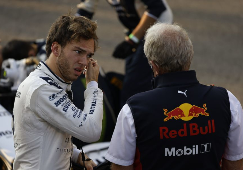 Hill: 'Gasly begeeft zich mogelijk in goede positie voor terugkeer bij Red Bull Racing'