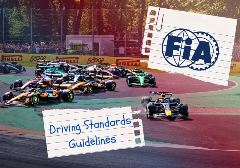 Driving Standards Guidelines of FIA