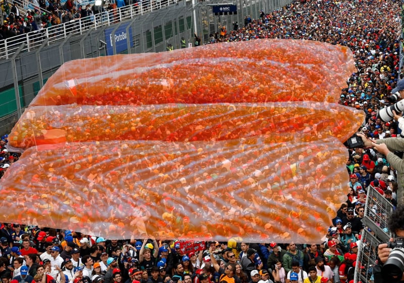 F1 pundit claims fans have 'backbone of a dead salmon'