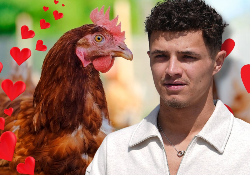 Norris set for celebrity date in UNUSUAL location