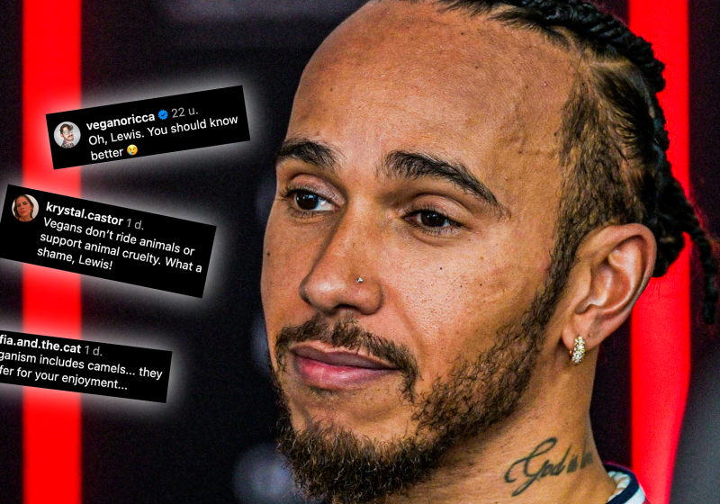 Hamilton krijgt op social media wind van voren: "Ze lijden voor jouw entertainment"