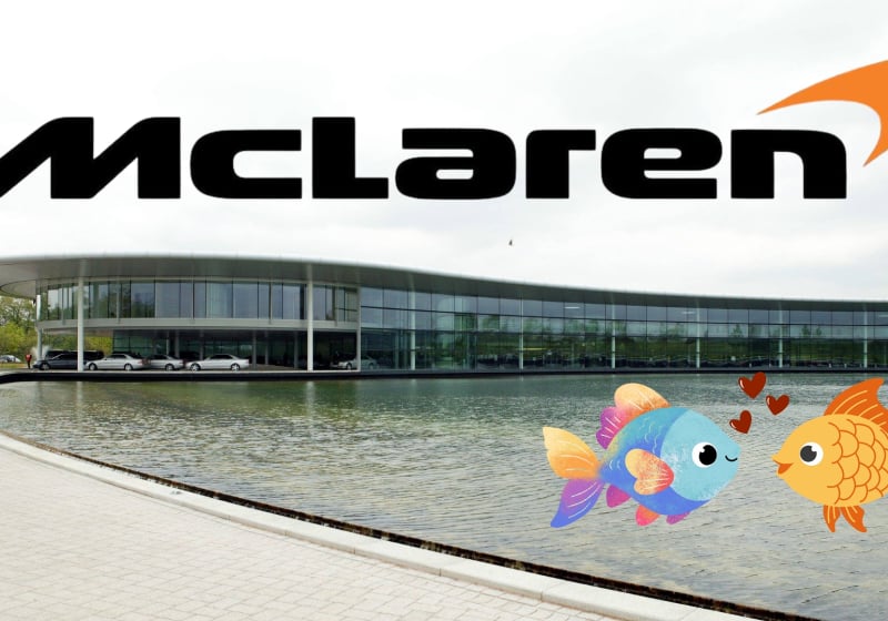 F1 team hit by carp chaos as horny fish 'breed like buggery'